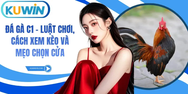 Đá Gà C1 - Luật Chơi, Cách Xem Kèo Và Mẹo Chọn Cửa