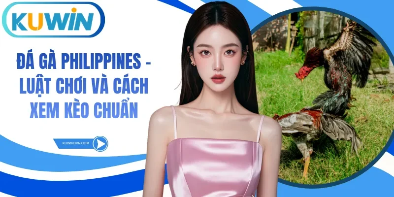 Đá Gà Philippines - Luật Chơi Và Cách Xem Kèo Chuẩn